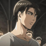 levi ackerman